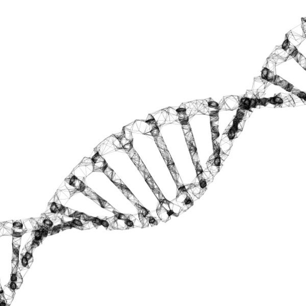 FFC DNA