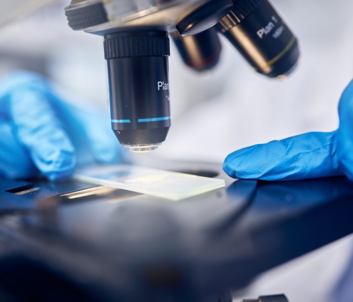 Microscope, bacteria or hands working in a science or chemistry laboratory for future healthcare in.